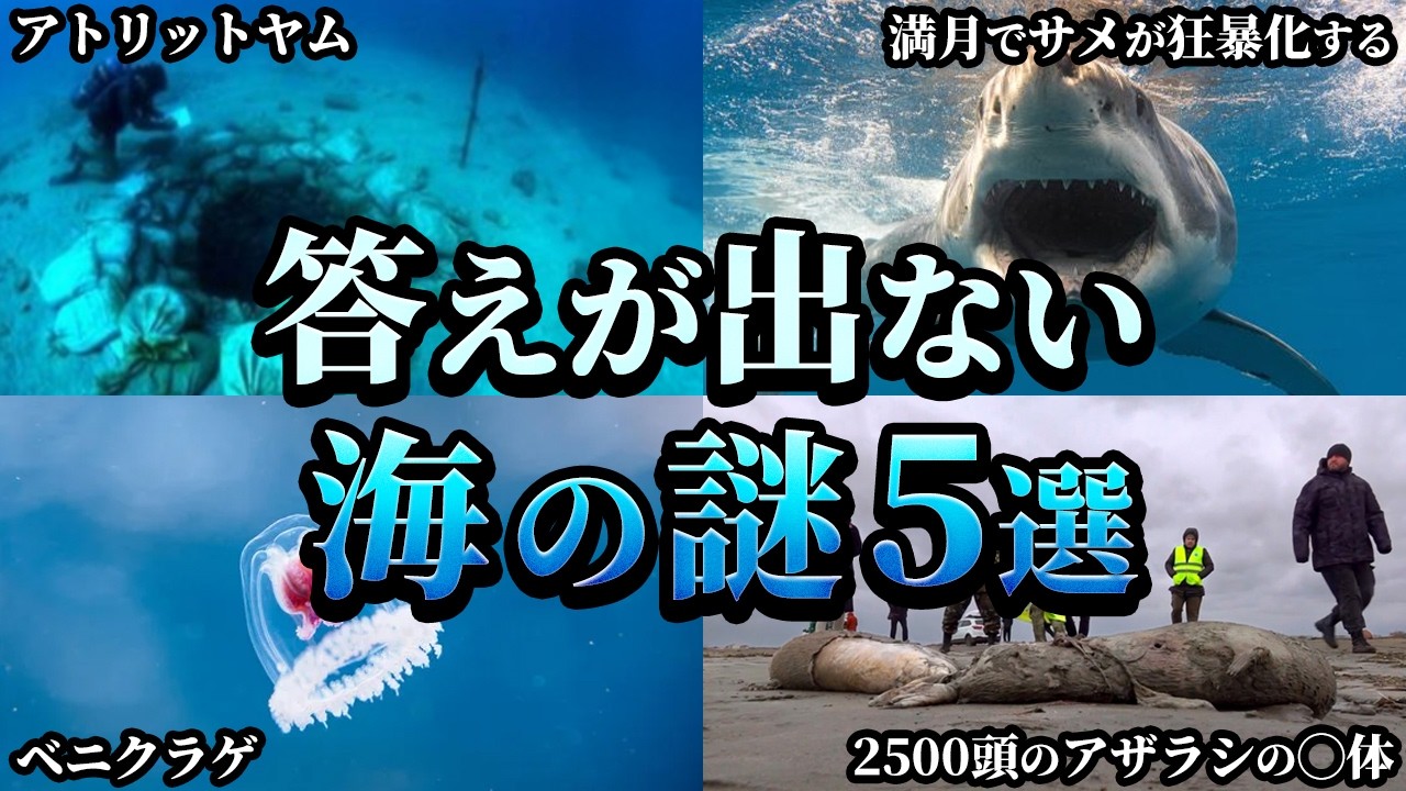 【ゆっくり解説】満月とサメ襲撃は偶然なのか？未解明の海の謎5選