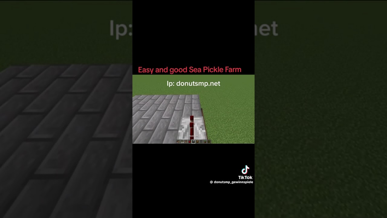Donut smp Batget meal pickle farm