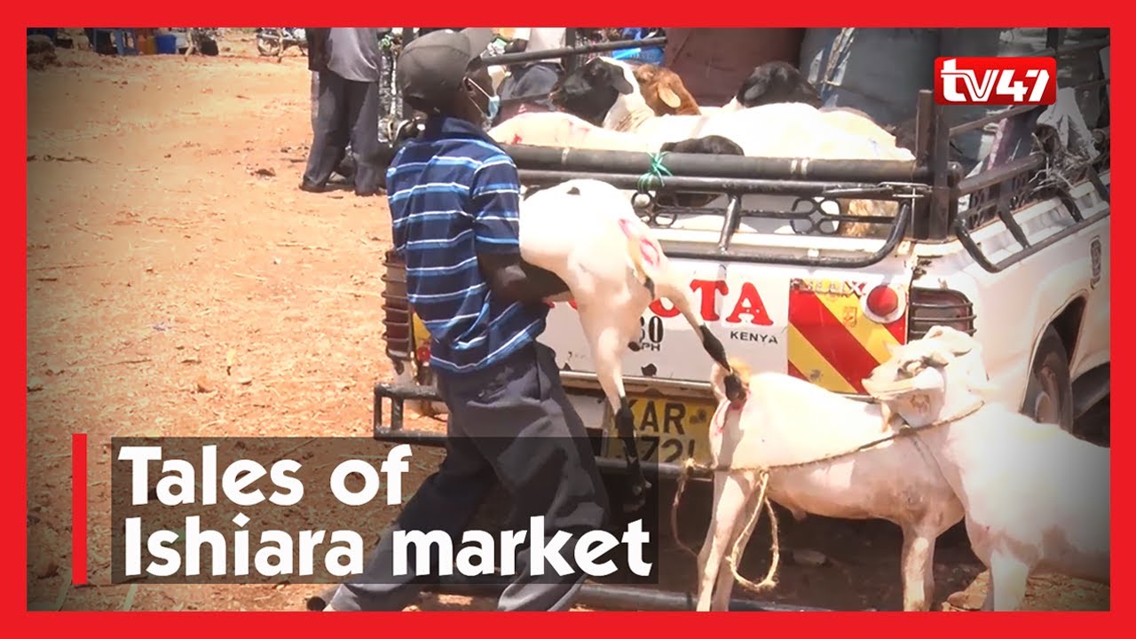 Desperate mother walks 50kms to sell lone goat in order to raise fees