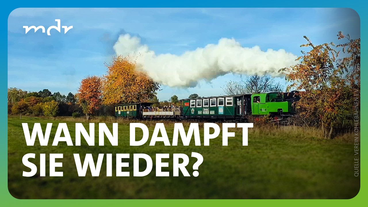 Meuselwitzer Kohlebahn: Dampflok 