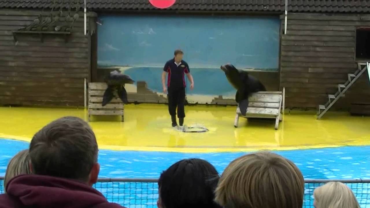 Pleasurewood Hills Sea Lion Show