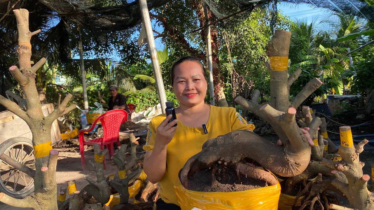 11/03/ ngọc (0907321470) Gl lô mai phôi dảo hạt thủ Đức dáng đế đẹp giá rẻ kính mời ❤️❤️❤️