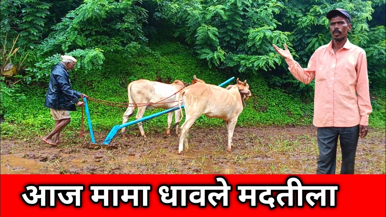 आज मामा धावले मदतीला/ram aditya marathi blog
