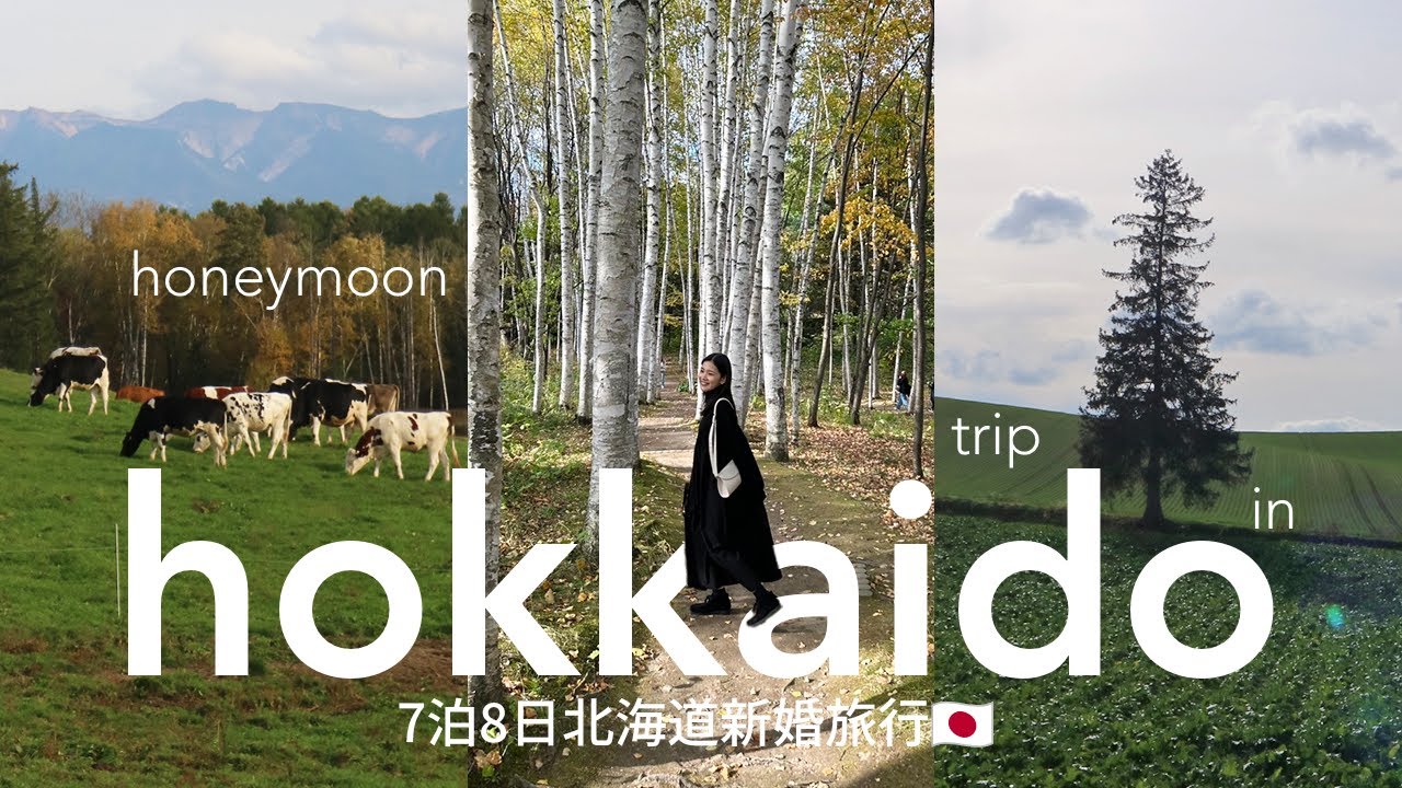 秋の北海道vlog｜感動の大自然を巡る🍂 美瑛・富良野・釧路(新婚旅行Day3-4)