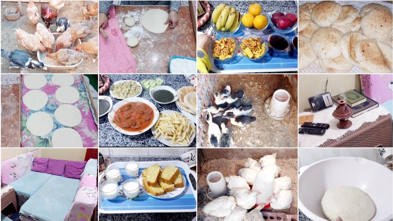 روتينى يوم الجمعه🌿لازم يكون كده 👌يوم هادى وبسيط وكله بركه🏡ست البيت الشاطره اللى تخلى بيتها كله حب❤️