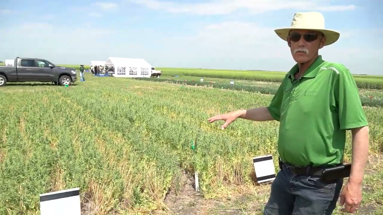 Hard Water Antagonism Glyphosate