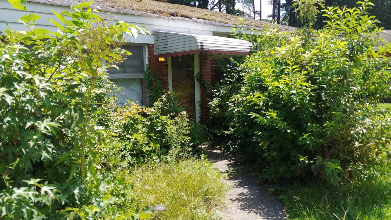 Tackling this City VIOLATION yard🤯