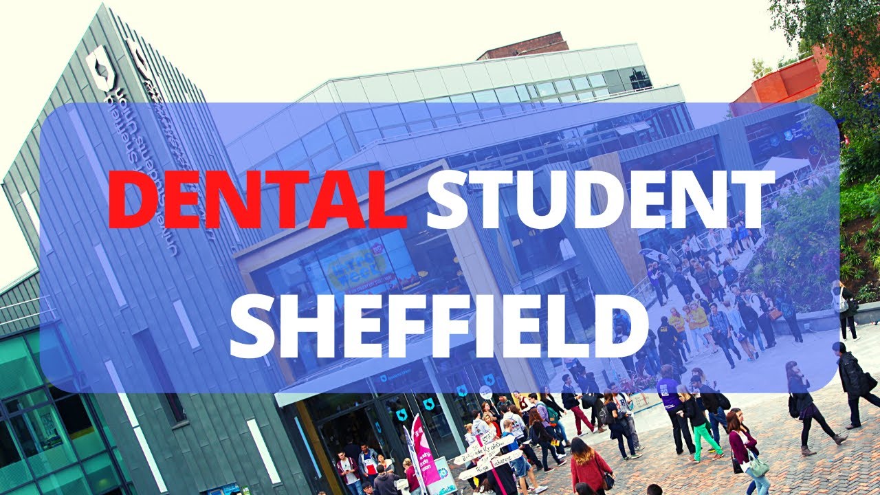 The first year at SHEFFIELD DENTAL SCHOOL