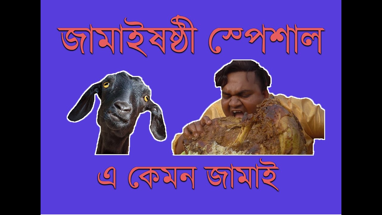 Jamaisasthi Special || A kemon Jamai || Dadar Bochson || Perfect Jamai ||