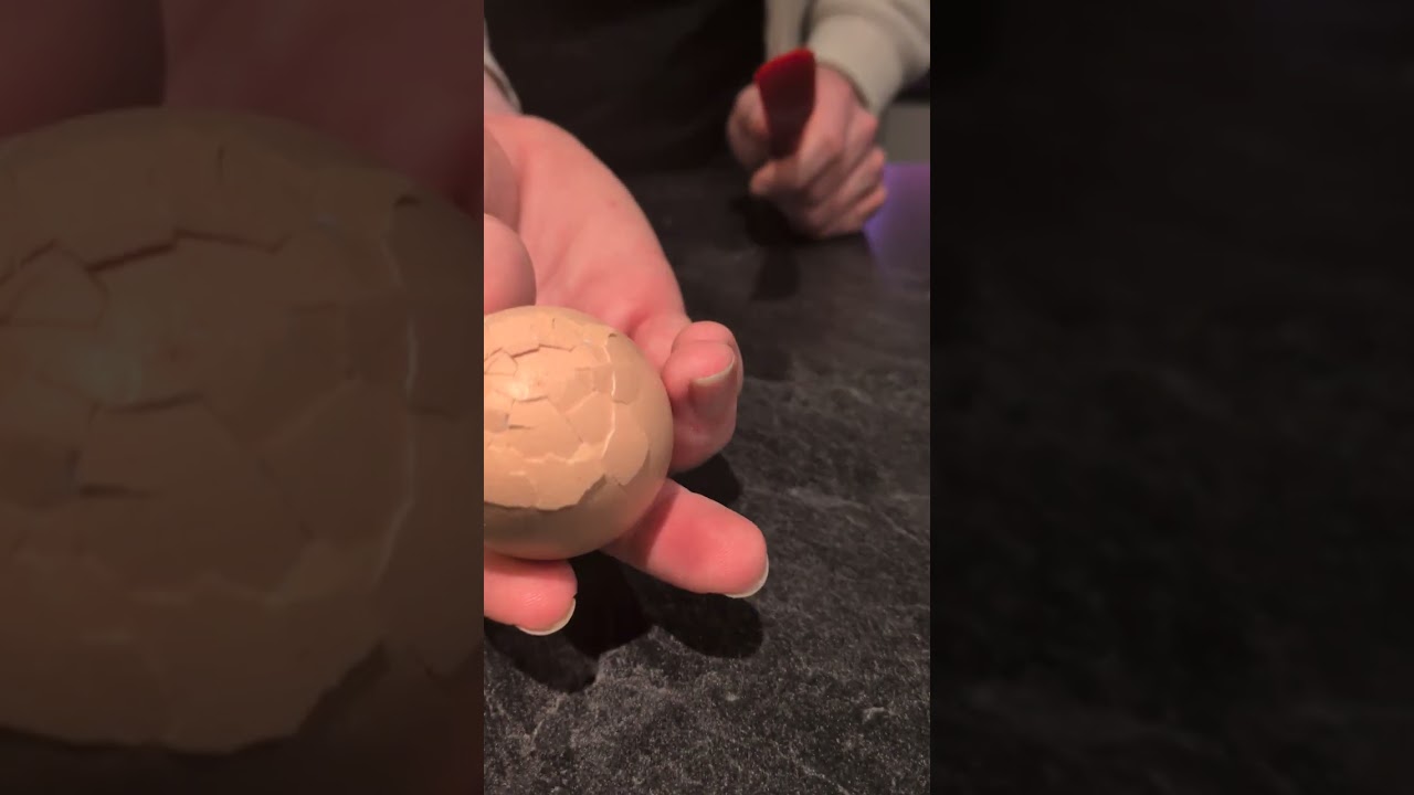 I apologize for the camera angle and not holding the egg in frame. I hope this video helps 