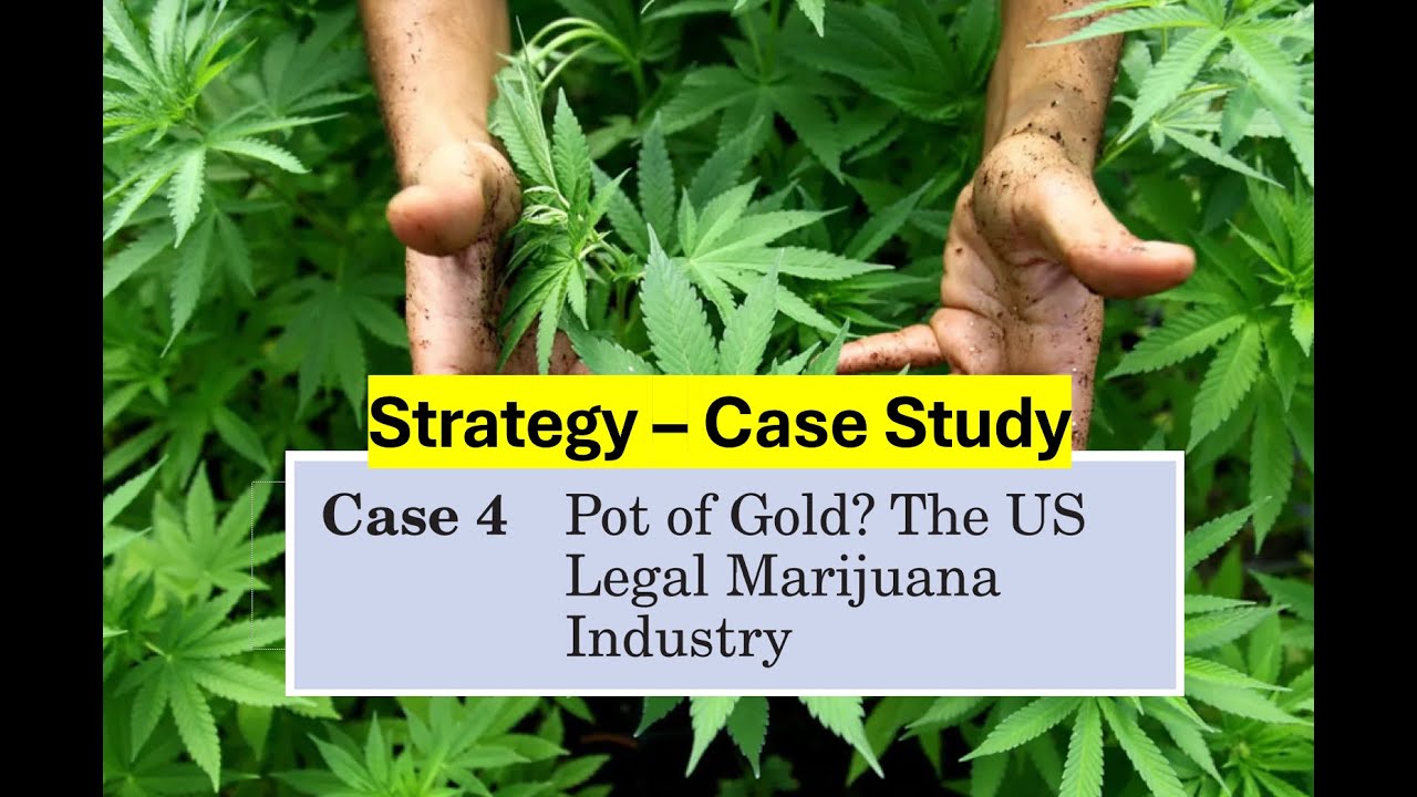 Strategy &ndash; Case Study legal marijuana industry