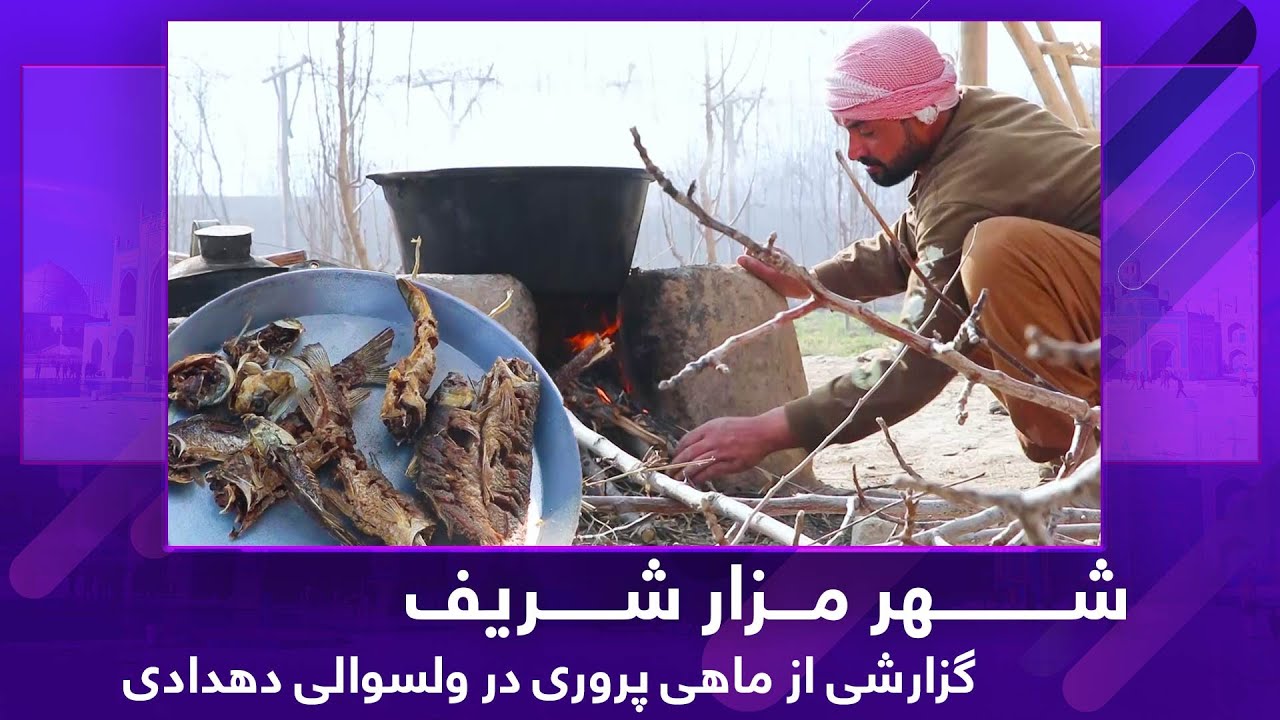 Ariana Mazar: Report from fish farming in Dihdadi / گزارشی از پرورش ماهی در ولسوالی دهدادی مزار شریف