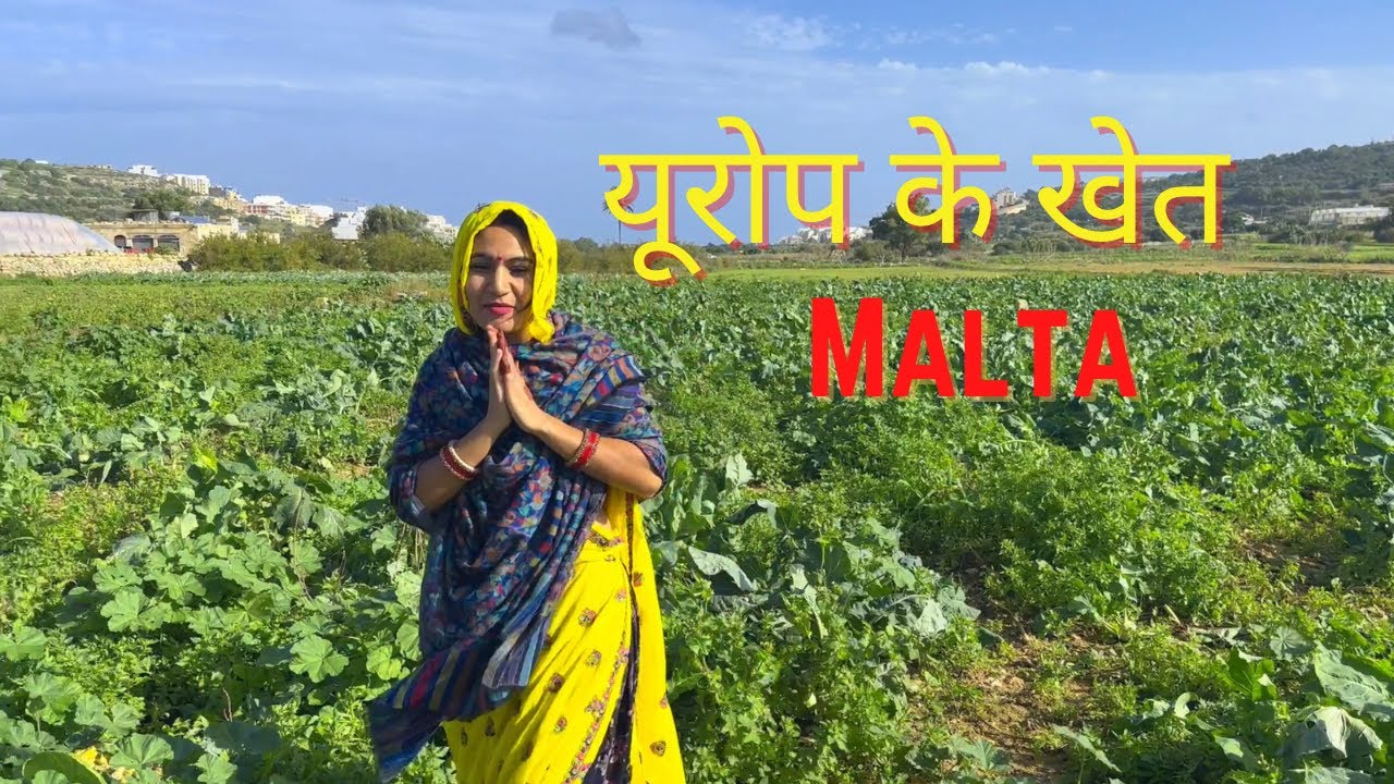 यूरोप Malta के खेत by धोली मीणा