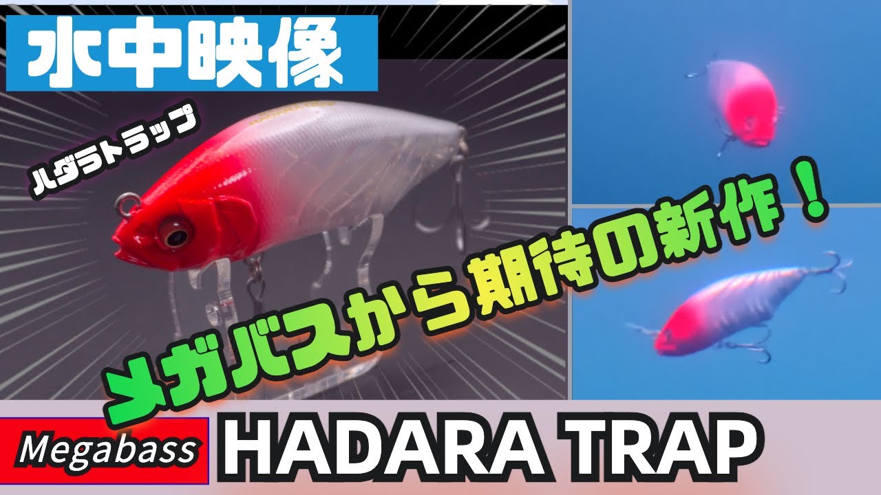 【水中映像】メガバス新作ハダラトラップはどんなルアーなのか？【シーバスルアー】