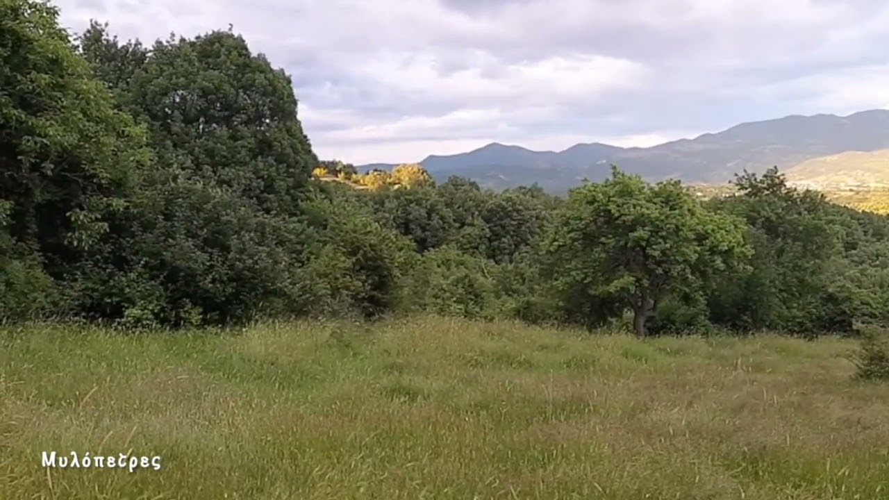 Την ανοιξη την καλεσα Βασ. Σερμπεζης