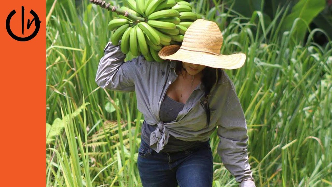 Agricultora Stephanie Rodriguez | Parte 1