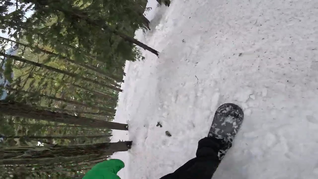An Off Trail Snowboard Run at Willamette Pass