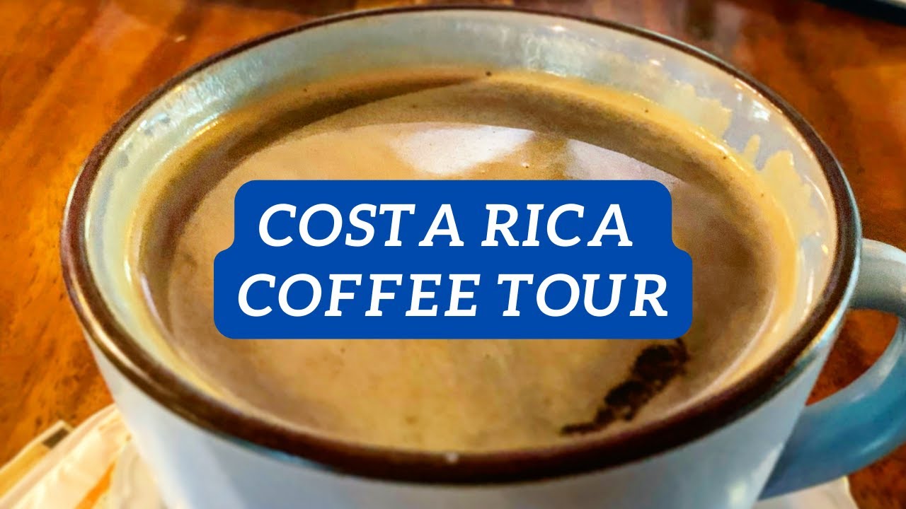 Costa Rica Coffee Tour close to San Jos&eacute;: Doka Estate