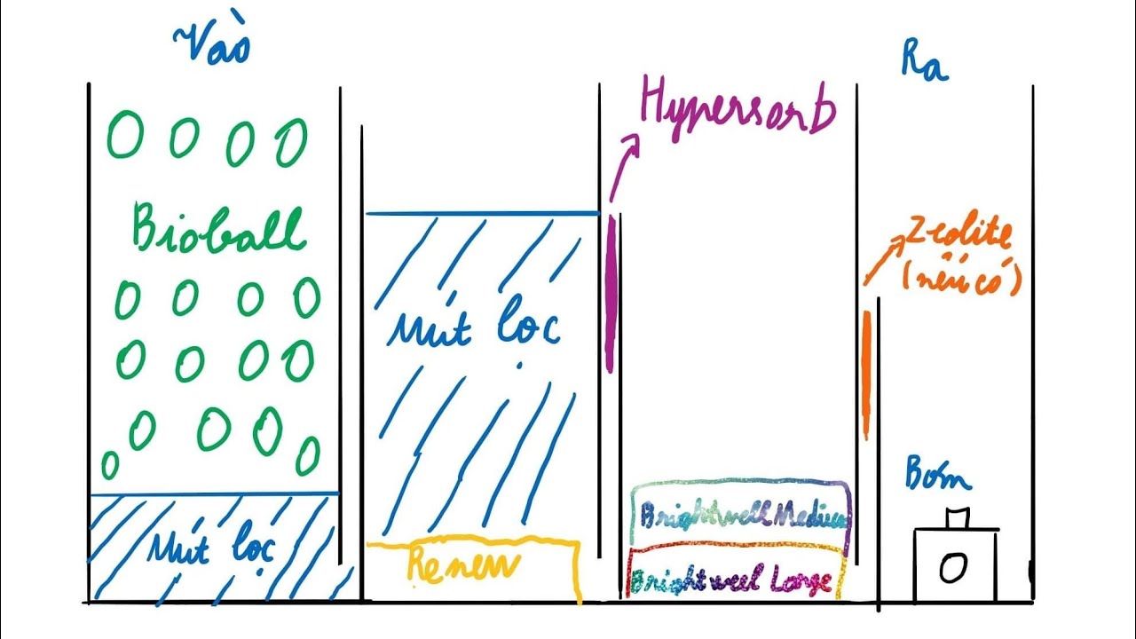 Setup bể biotope Huyết long Thủy sinh [KHÔNG Thay nước, CO2, Phân nền]| Phần 2: Hệ thống lọc