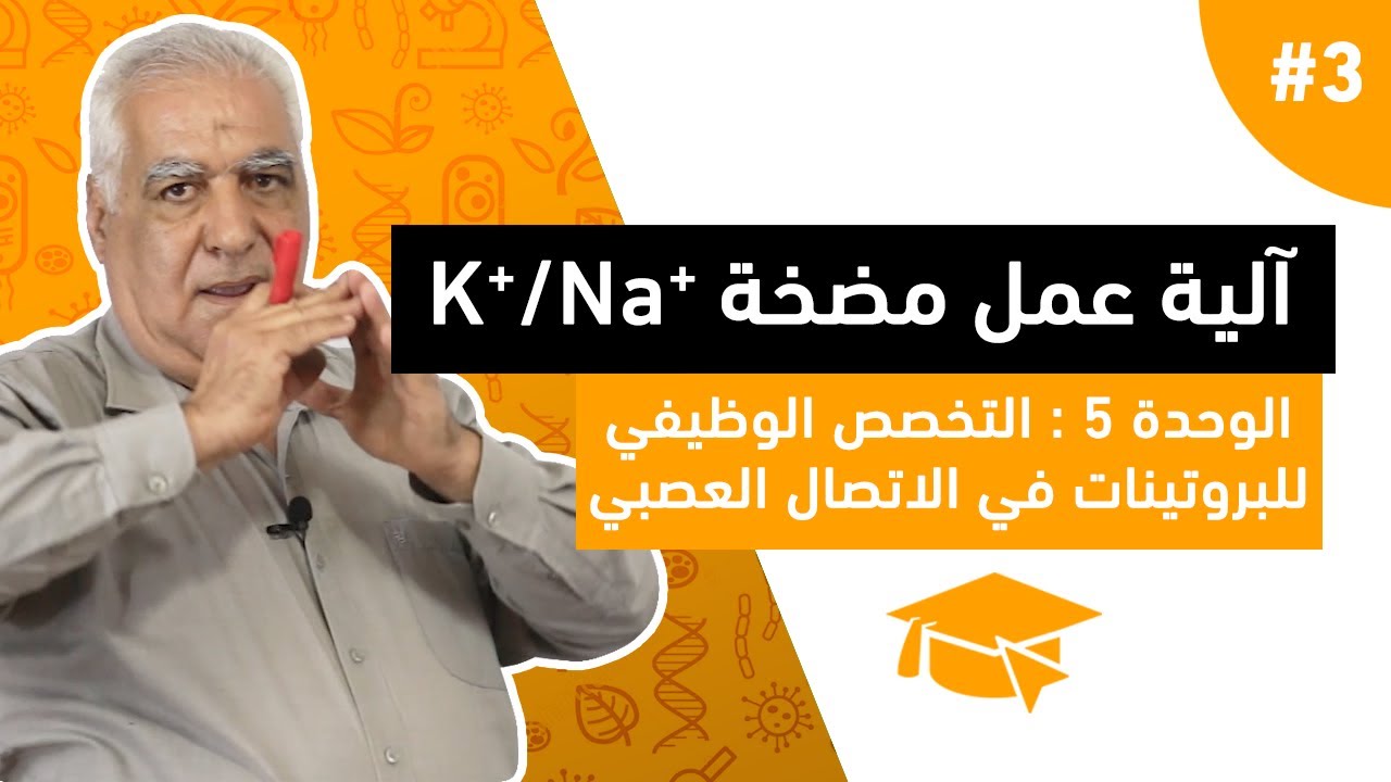 #3 الوحدة الخامسة : التخصص الوظيفي للبروتينات في الاتصال العصبي : آلية عمل مضخة K+/Na+
