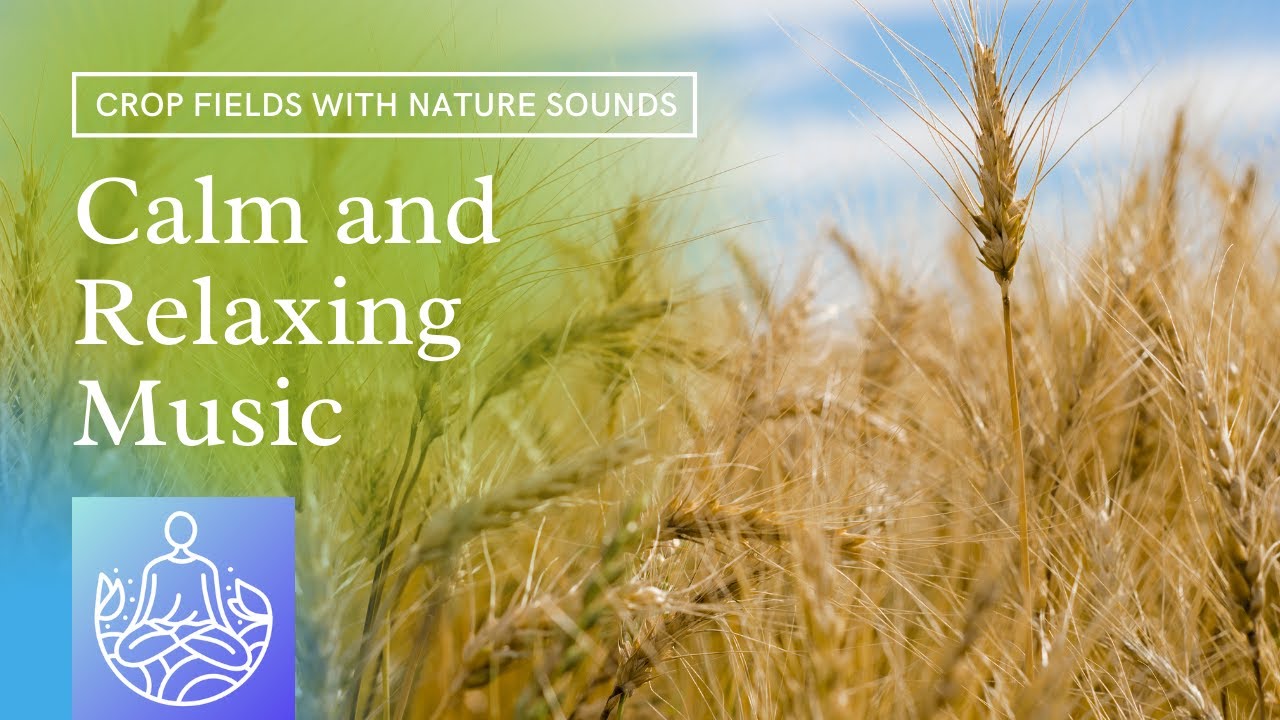 Calm and Relaxing Music | Nature Sounds | Crop Fields