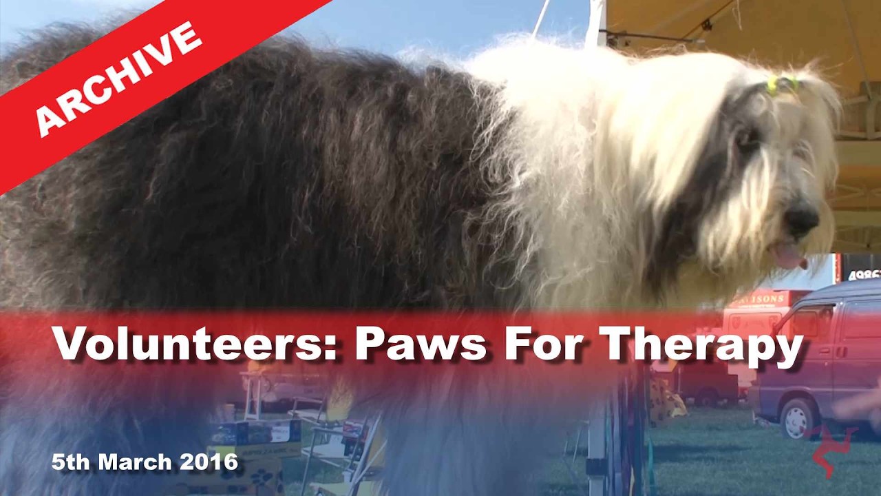 Архив IoM TV: Волонтеры: Лапы для терапии: 05.03.2016