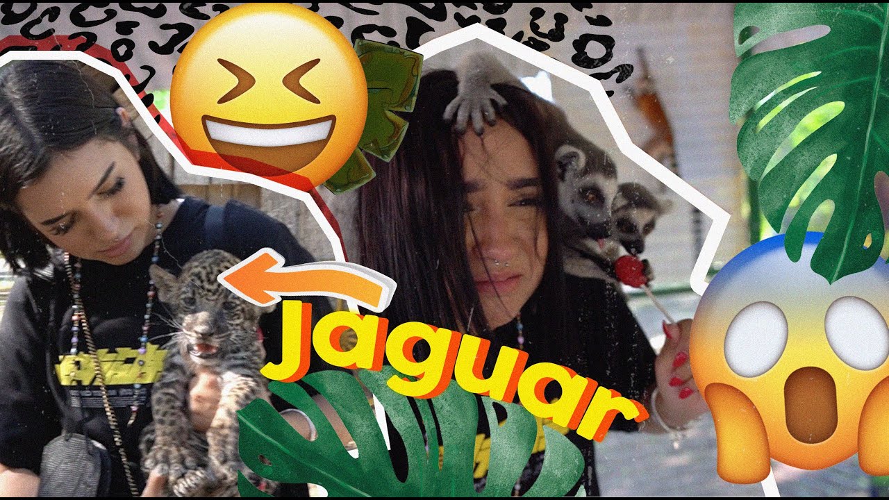EL REY JULIEN (LEMÚR) COME PALETA!!!  Vlog en un ZOO