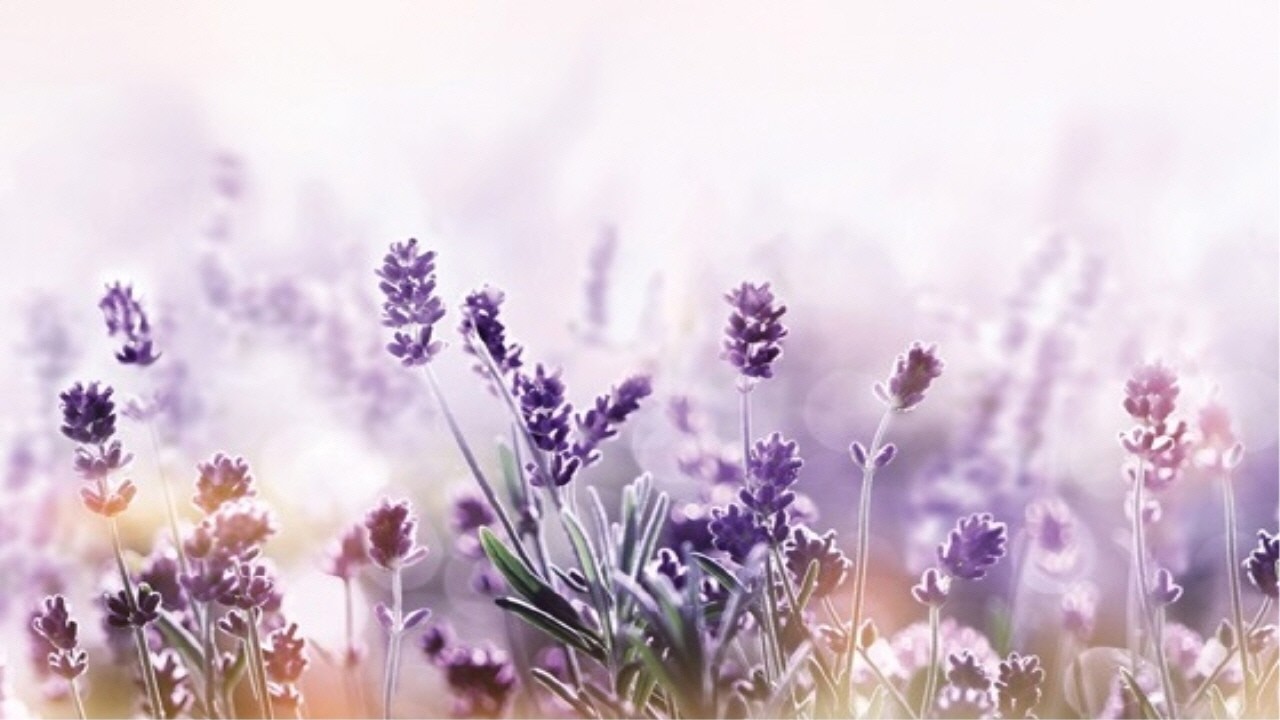 20260312_원주하나로교회_새벽기도회