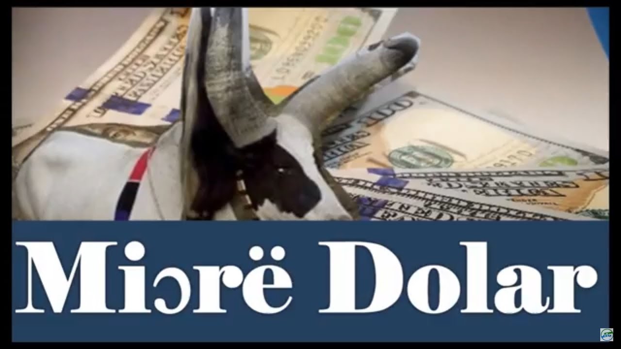 Mamiir-Mamiir: Miɔrë dolaar is a new song