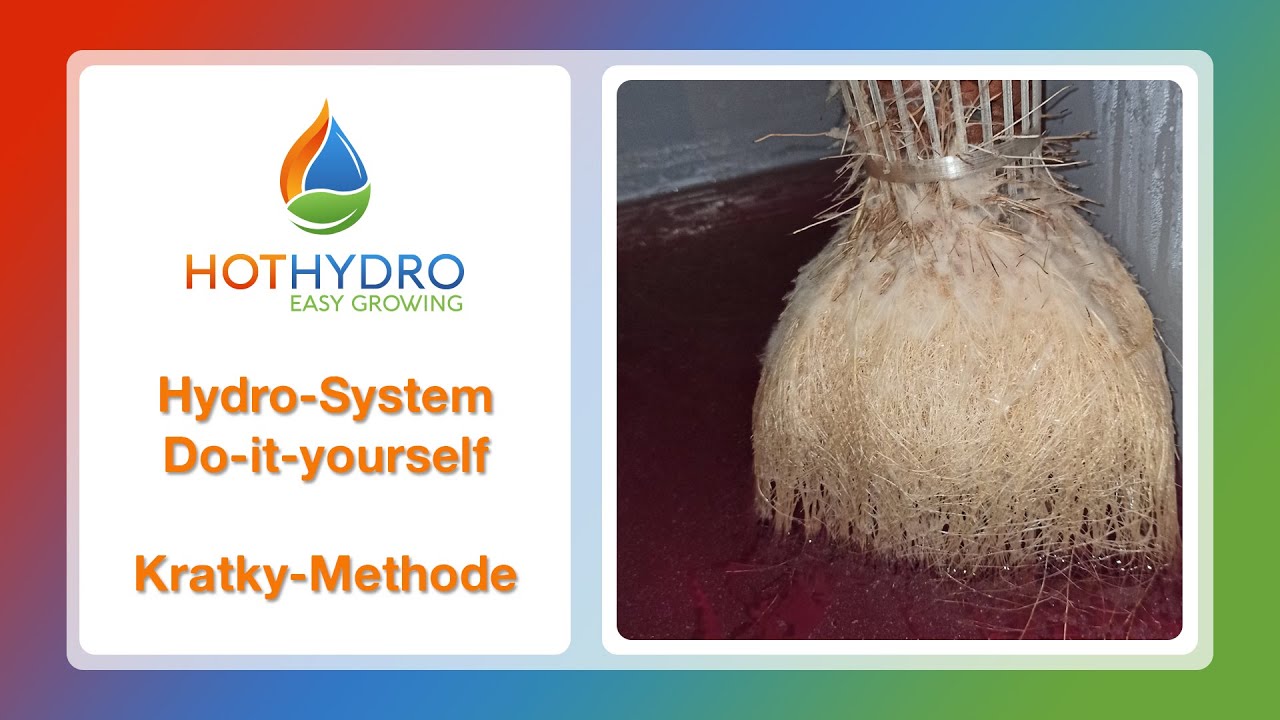 Hydro-System DIY: Kratky-Methode (Chili)