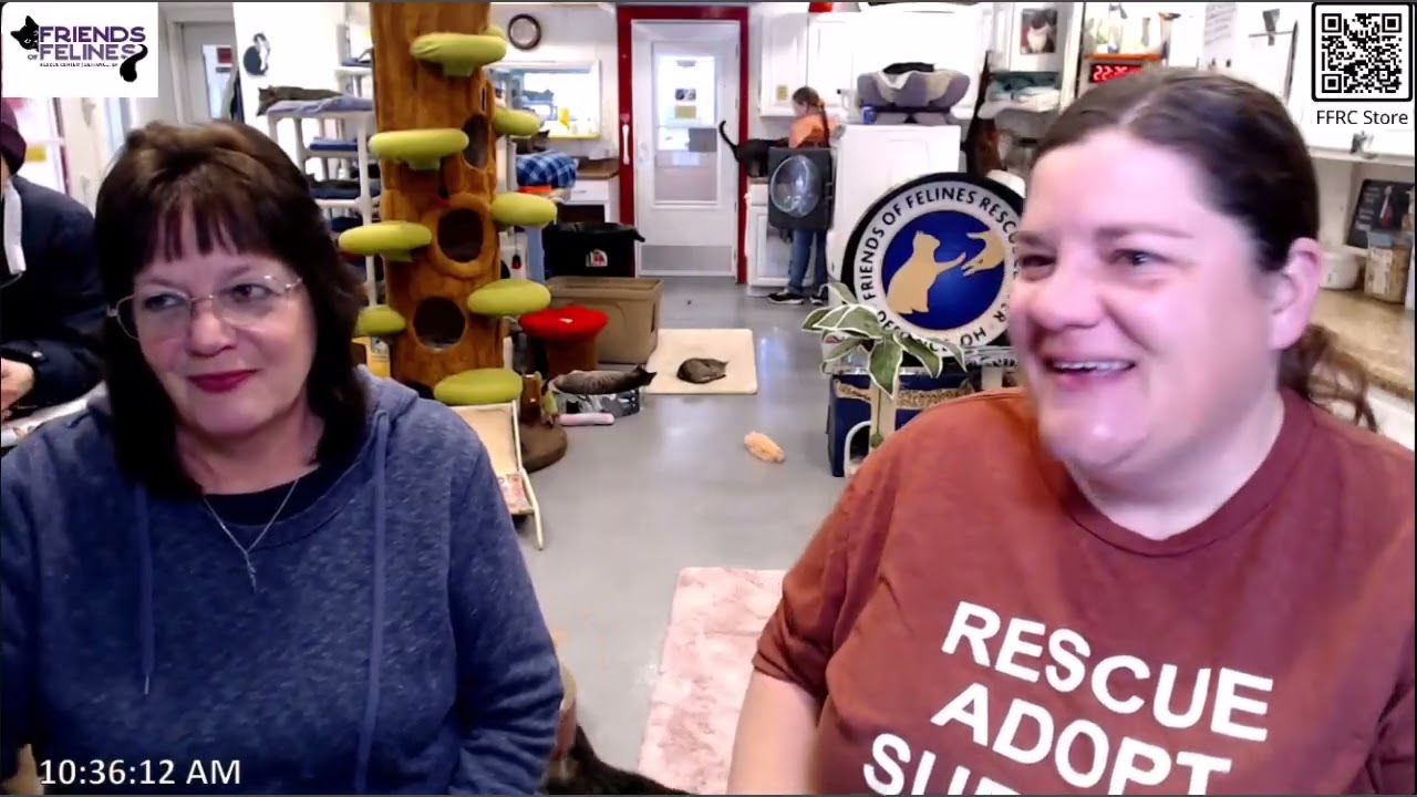 Q&A 01-23-2026  Friends of Felines Rescue Center (FFRC)