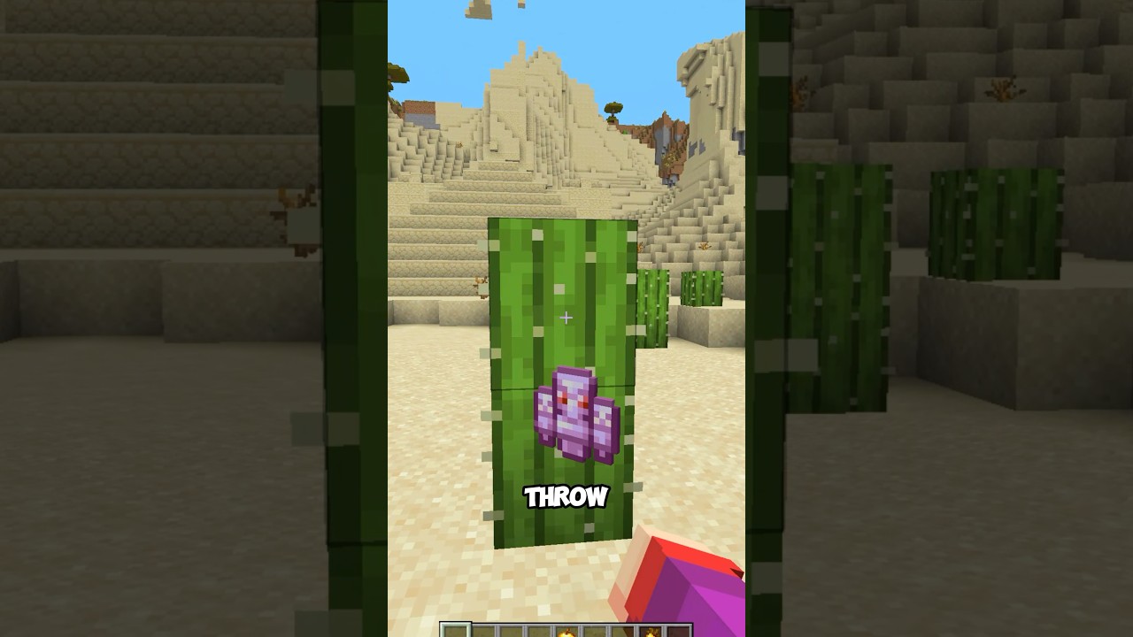 Why Does Cactus Destroy Items? #minecraft