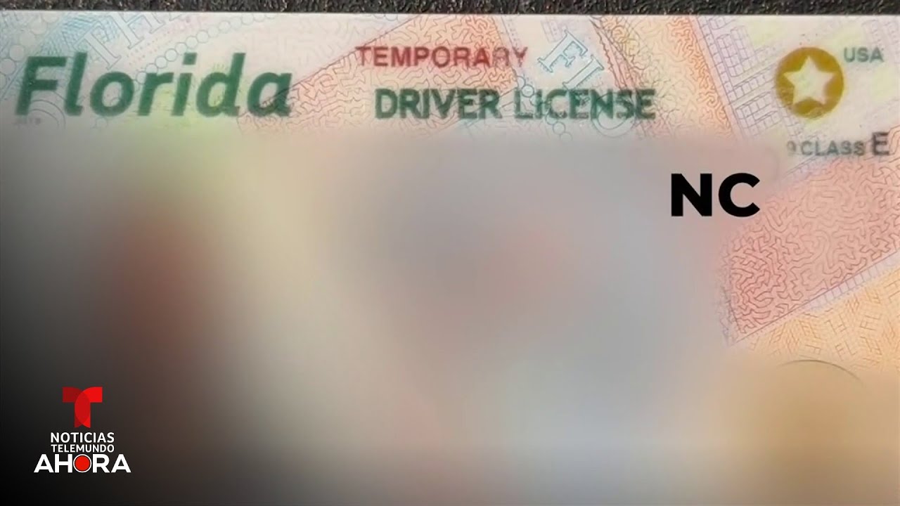 Proponen marcar licencias de conducir de no ciudadanos en Florida | Noticias Telemundo