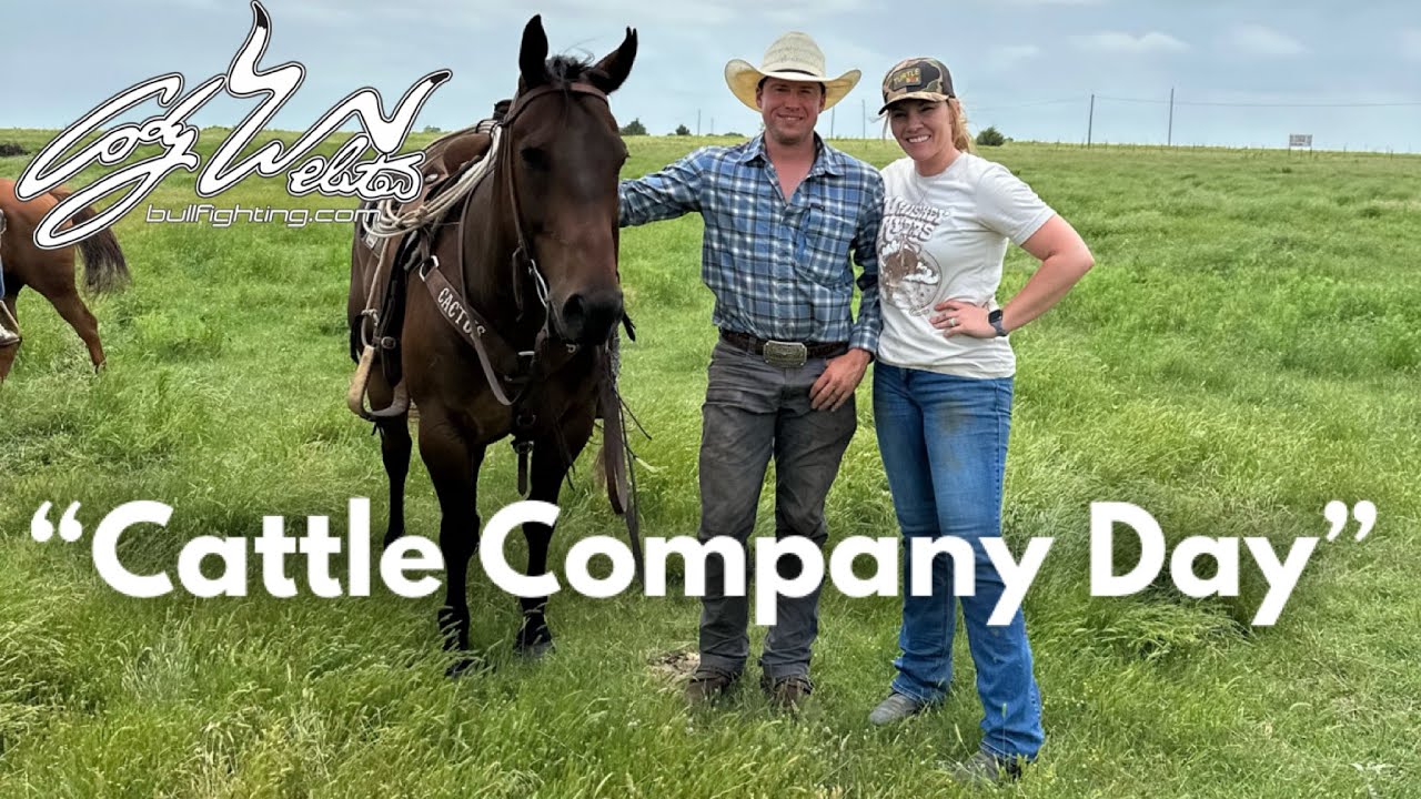 День скотоводческой компании — За скворечниками #177