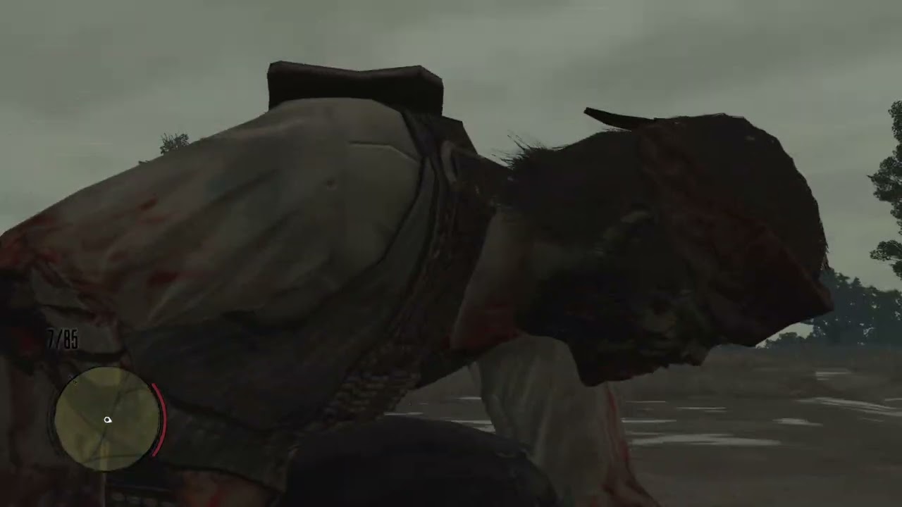 Red Dead Redemption
