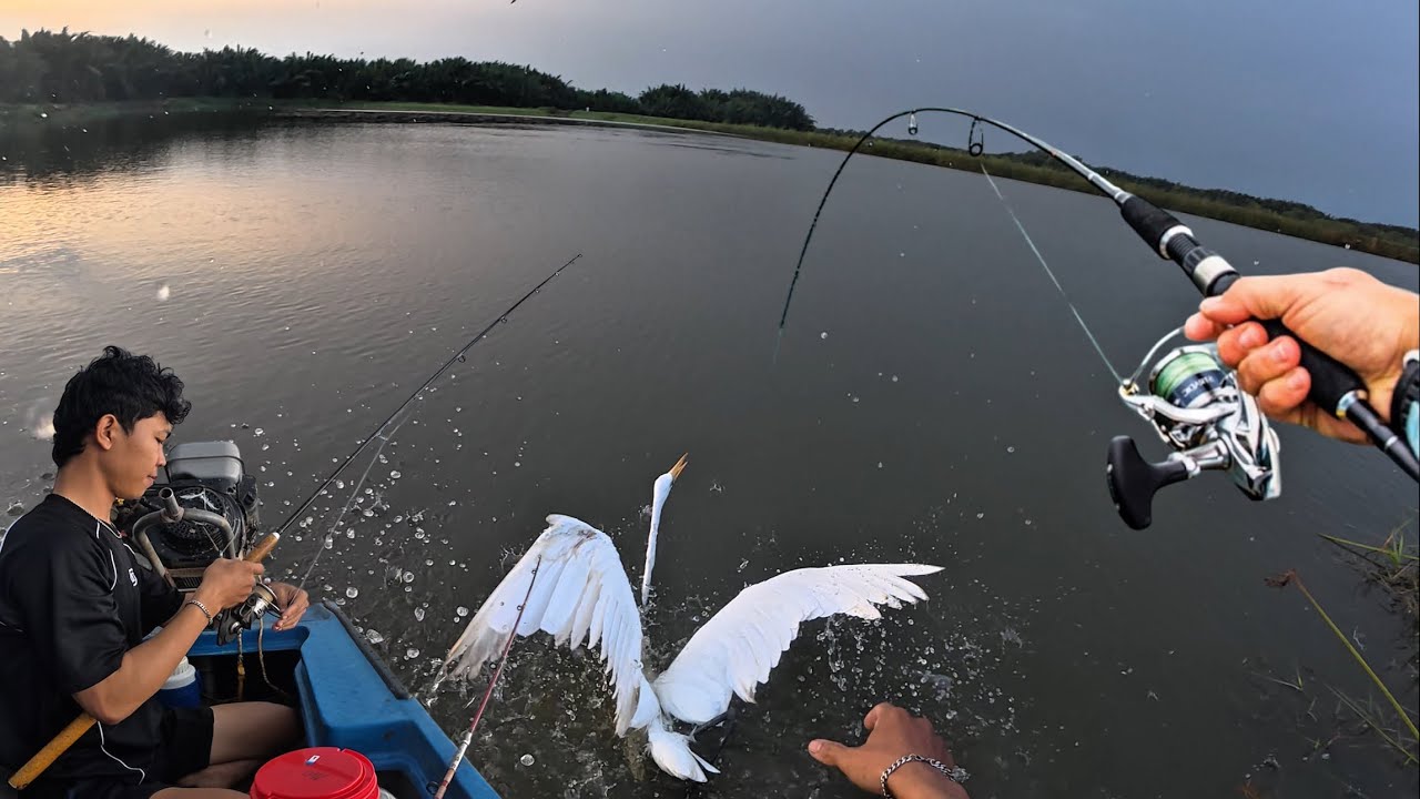 Trãi nghiệm câu cá vô tình lụm được hàng khủng…