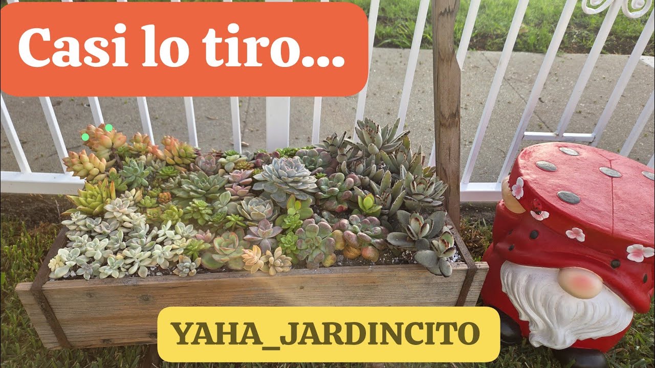 No es basura! Y casi lo tiro