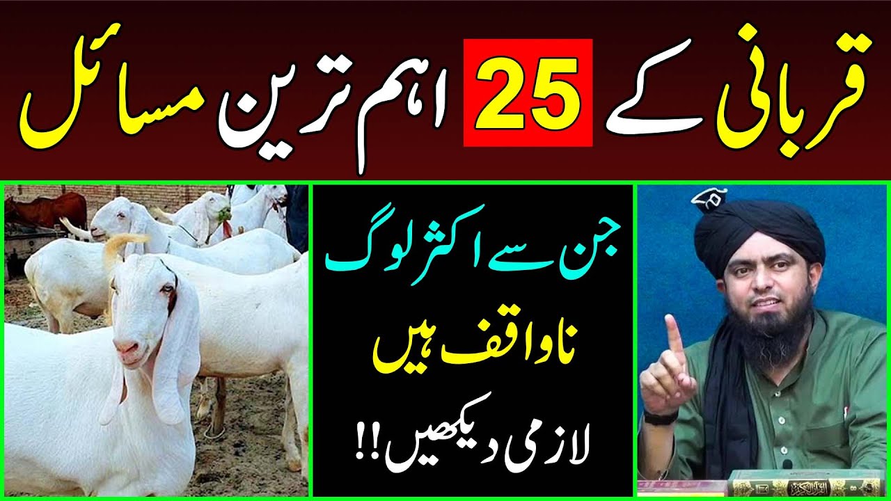 Qurbani ke 25-Important Masail | Qurbani se Mutaliq Awami Sawalat ??? Engineer Muhammad Ali Mirza