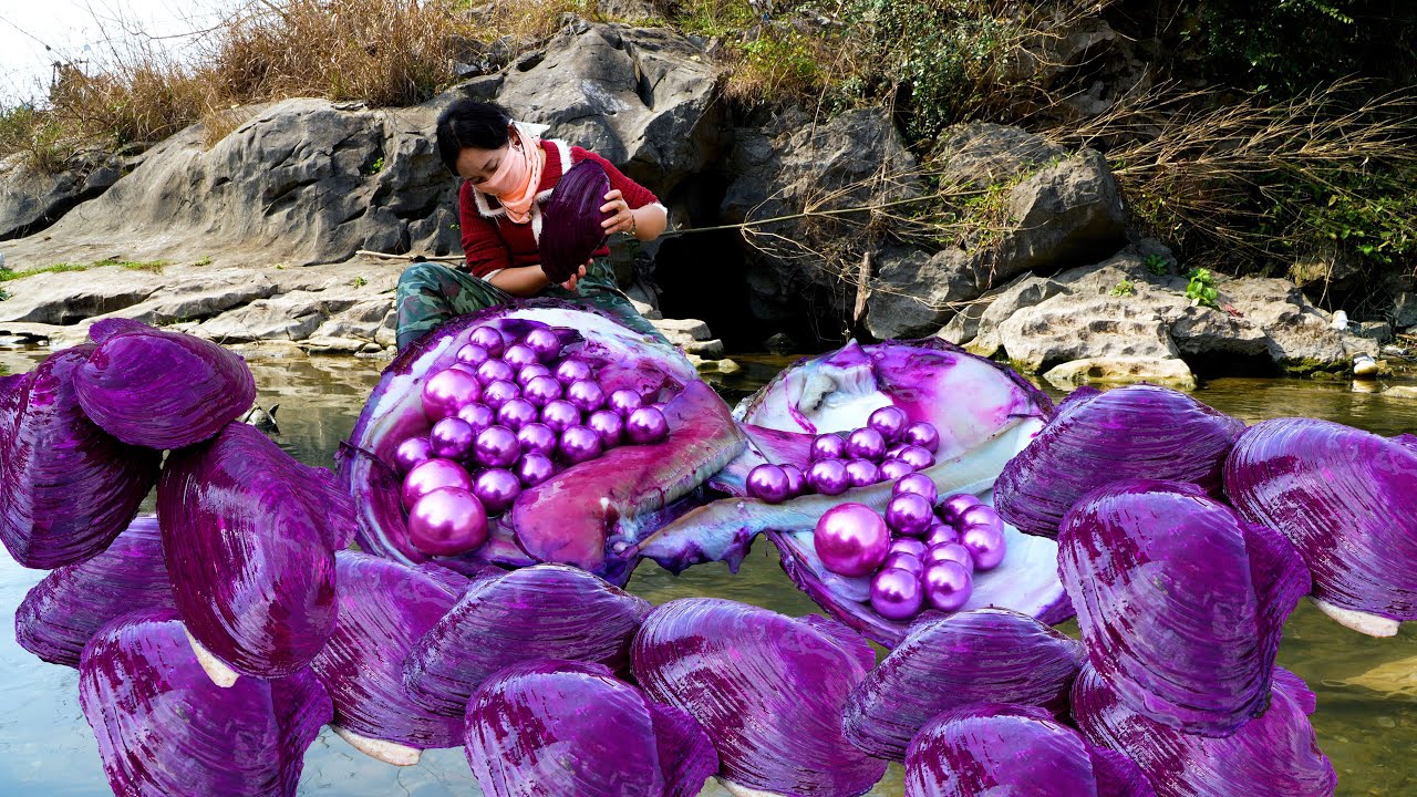 🎁🔮Precious purple giant clam, it nurtures the desirable purple pearls, beautiful and charming