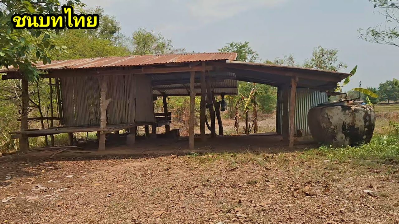 ชนบทอีสานบ้านเฮา อำเภอโพธิ์ไทร จังหวัดอุบลราชธานี #ชนบทไทย 