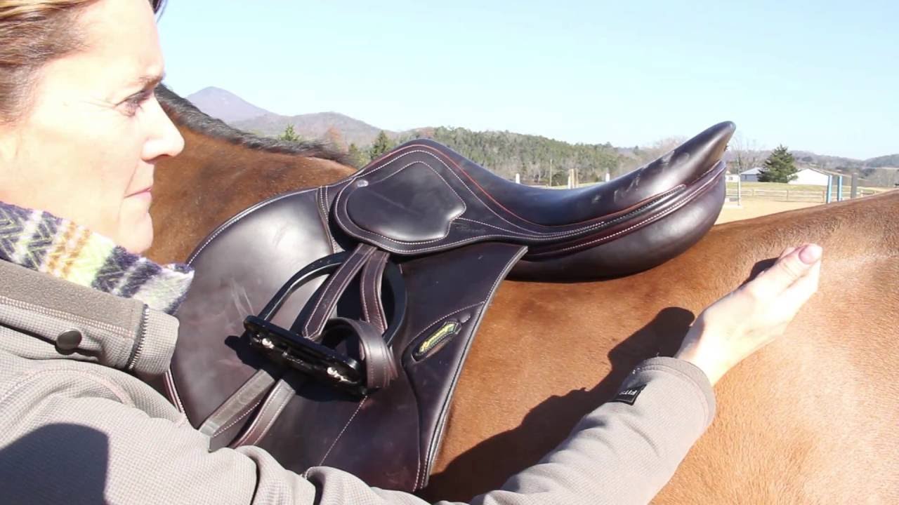 Robin Moore & Amerigo Saddle Fitting Tips
