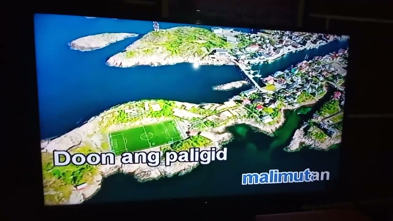 [029018] Pinay Sa Japan (Roel Cortez) ~ Platinum Karaoke Piano XL SD V1.1