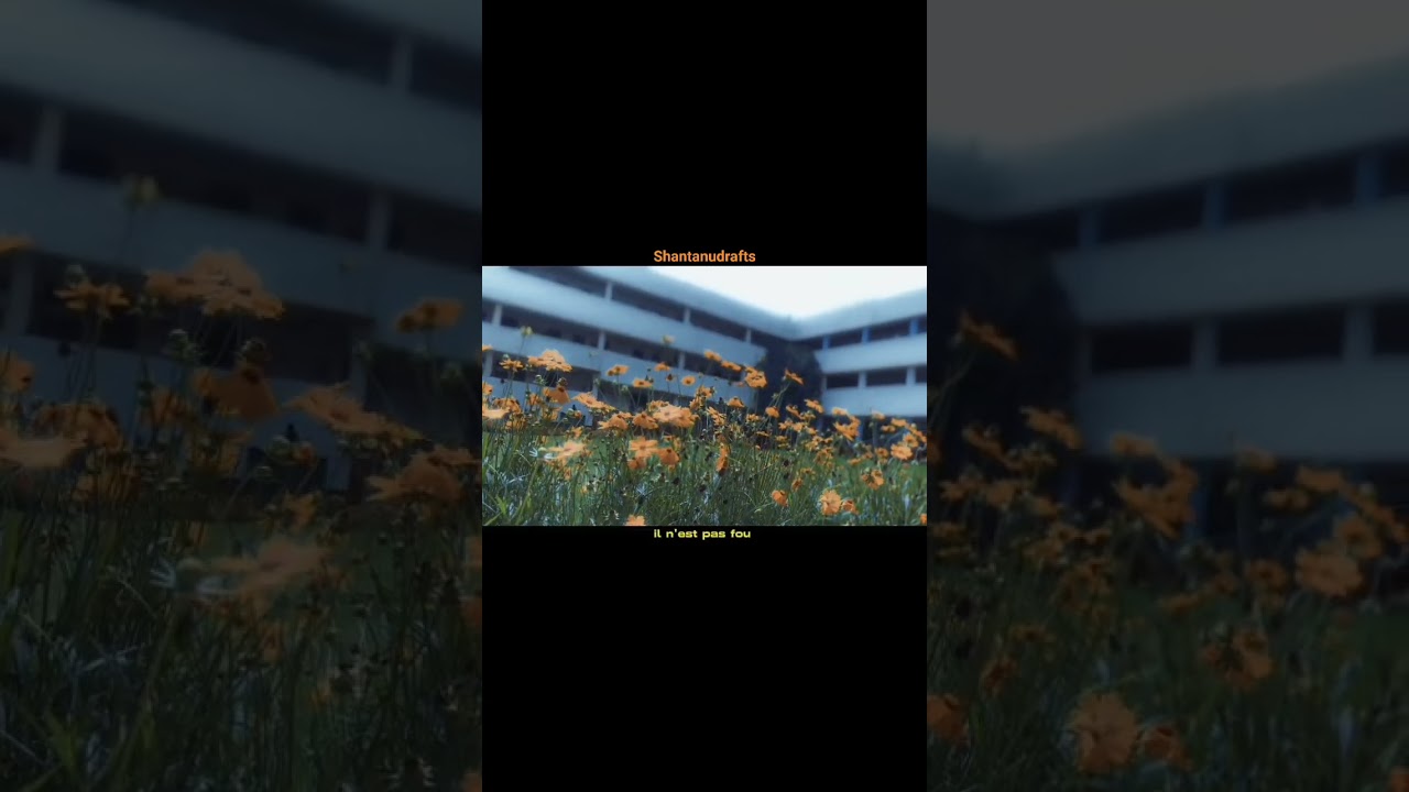 #SIT College Ichalkaranji🏫 #shorts #youtube