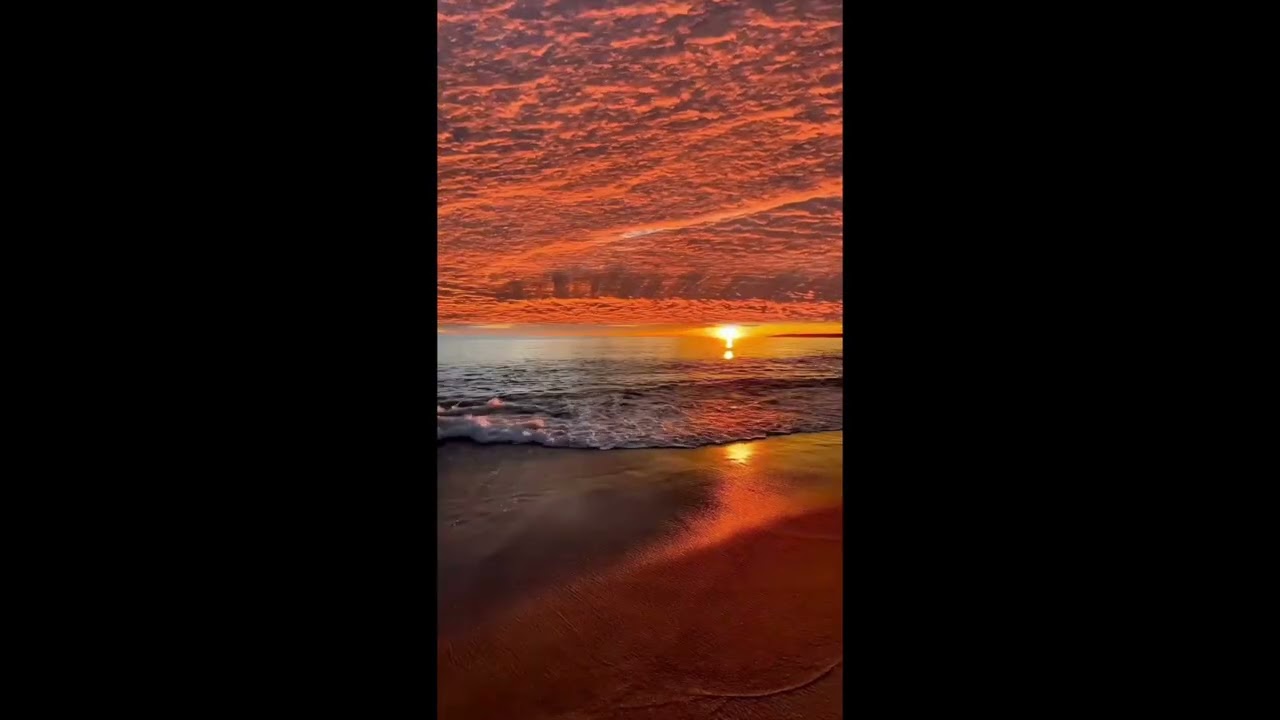 Focus Music for Studying and Work | Background Music to Improve Concentration