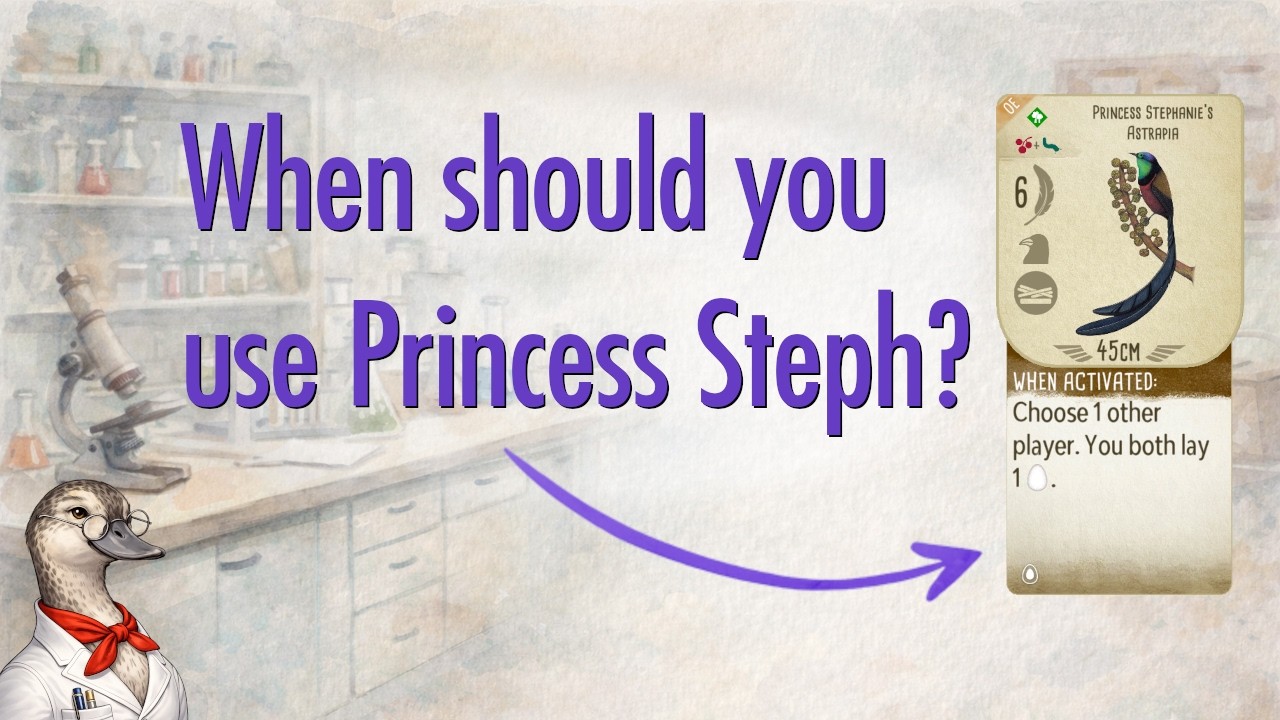 When should you use Princess Stephanie's Astrapia?