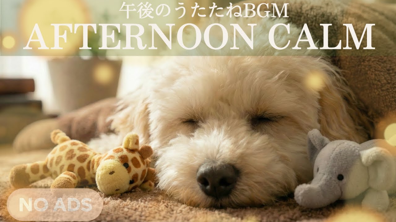 午後のうたたねに｜安心して休める犬用BGM｜Dog Music for Afternoon Nap & Calm Rest | 6 Hours (No Ads)