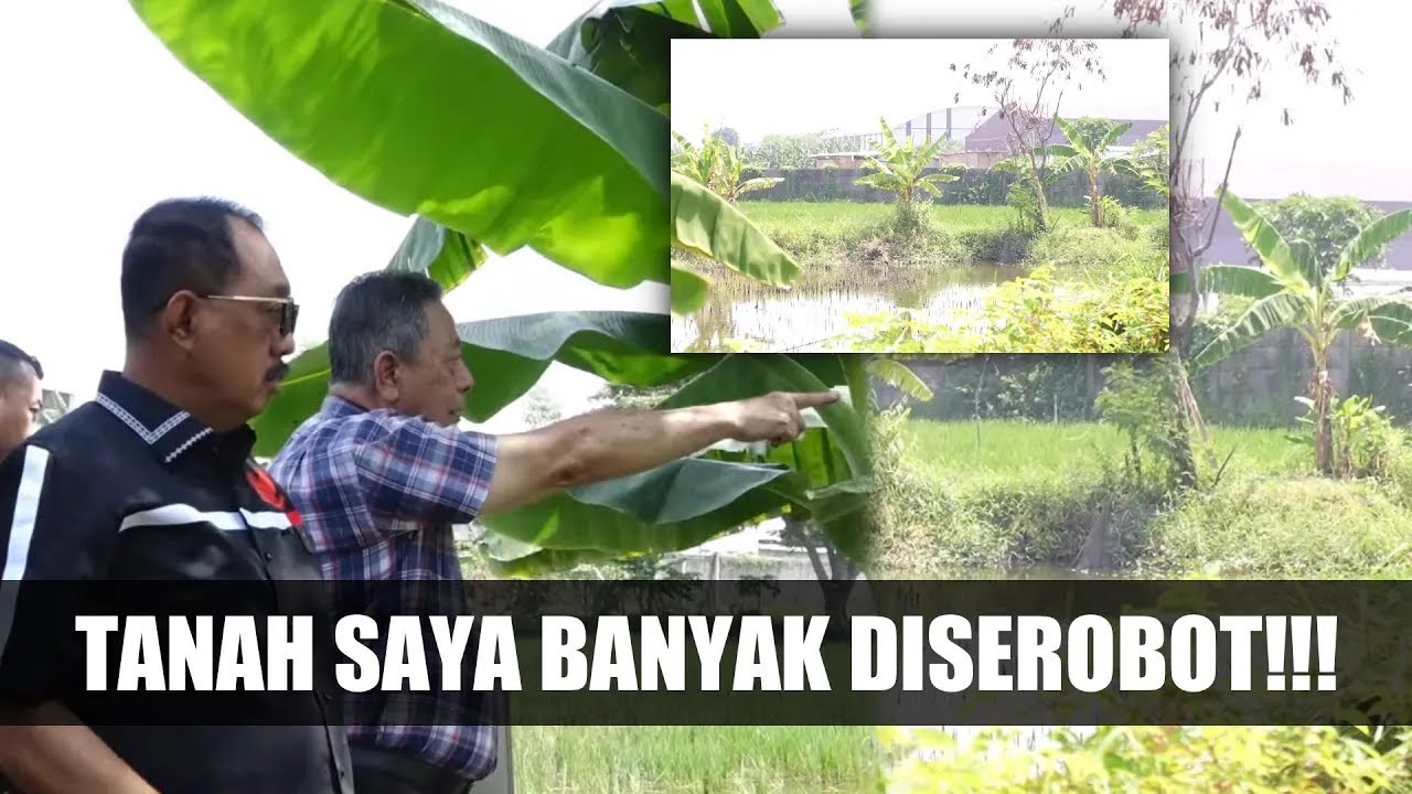 TANAH BANYAK DISEROBOT DAN KALAH DI PENGADILAN, CAKJI BERI SARAN KE PEMILIK TANAH