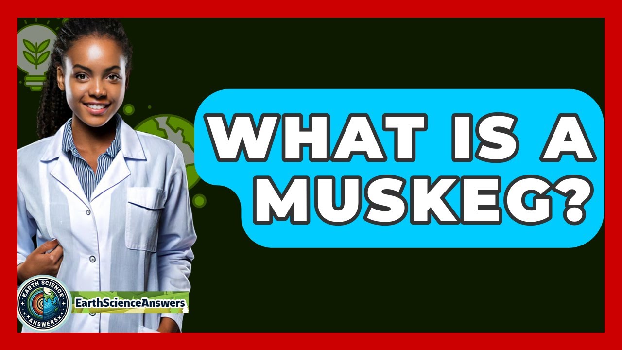 What Is A Muskeg? - Earth Science Answers