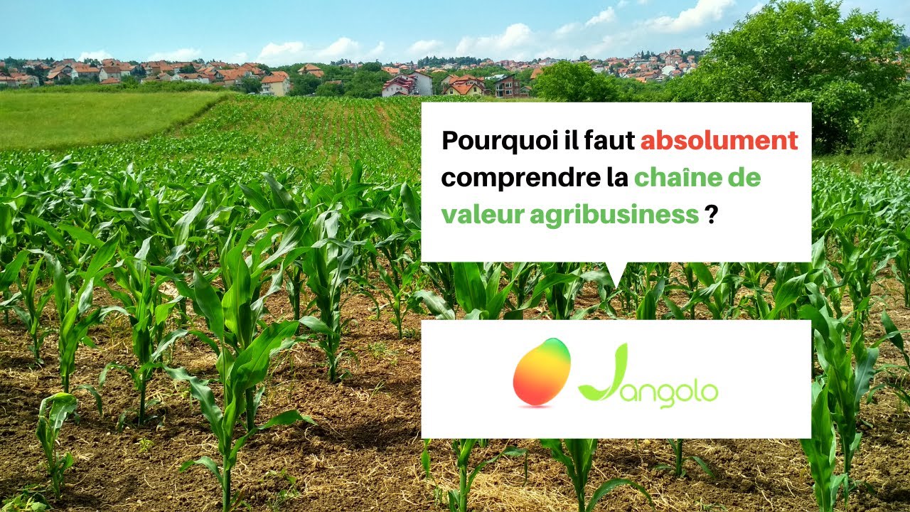 Pourquoi il faut absolument comprendre la chaîne de valeur agribusiness ?