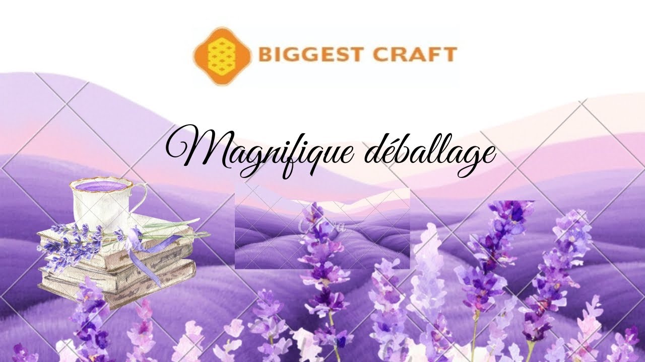 Unboxing #biggestcraft #pointdecroix #crossstitch #stampedcrossstitch 